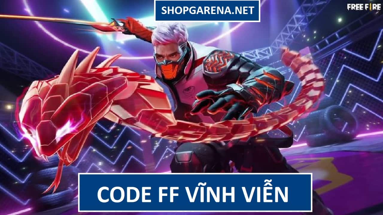Code-FF-Vinh-Vien