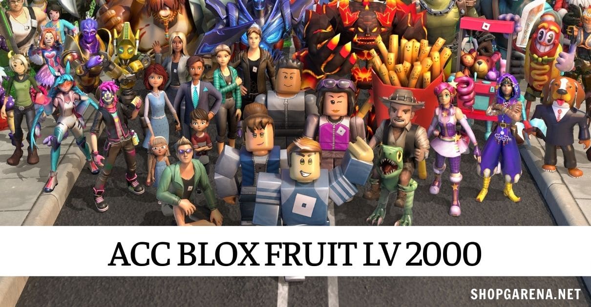 Acc Blox Fruit Lv 2000