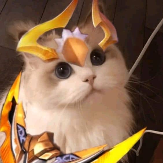 Avatar mèo liên quân đẹp 2024: Vẻ đẹp dịu dàng của con mèo đã được kết hợp cùng với sức mạnh của những trận đấu trong Liên Quân. Hãy thể hiện phong cách riêng của bạn và tạo sự khác biệt với avatar mèo đẹp này.