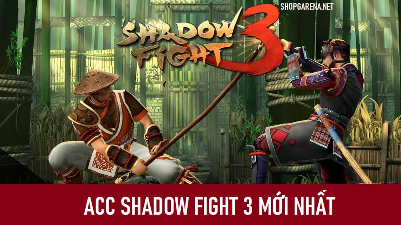 ACC Shadow Fight 3