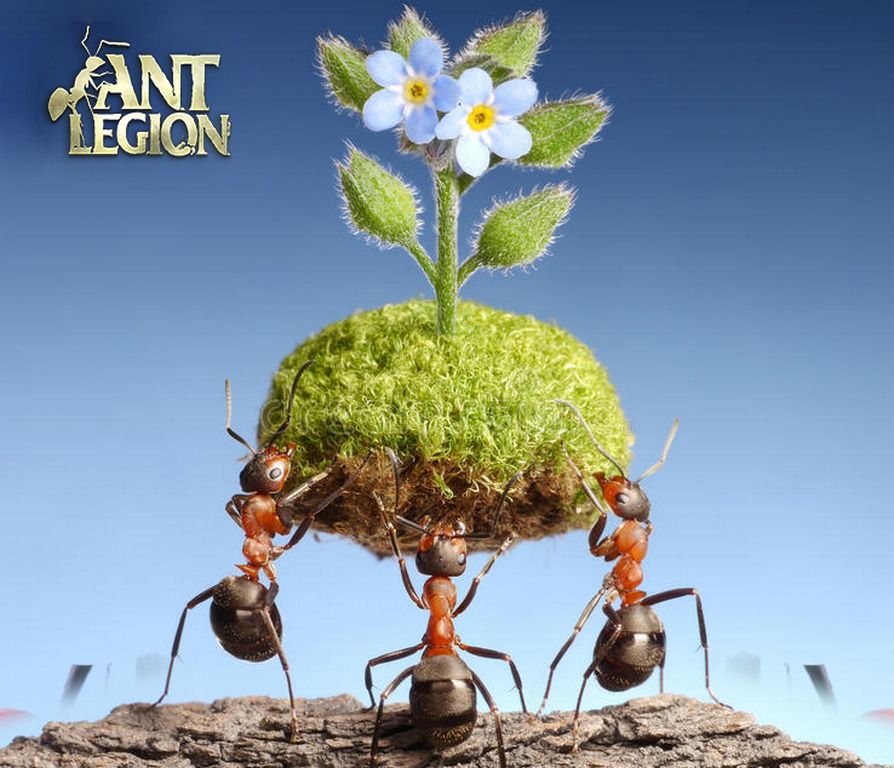 Code Ant Legion Mới Nhất