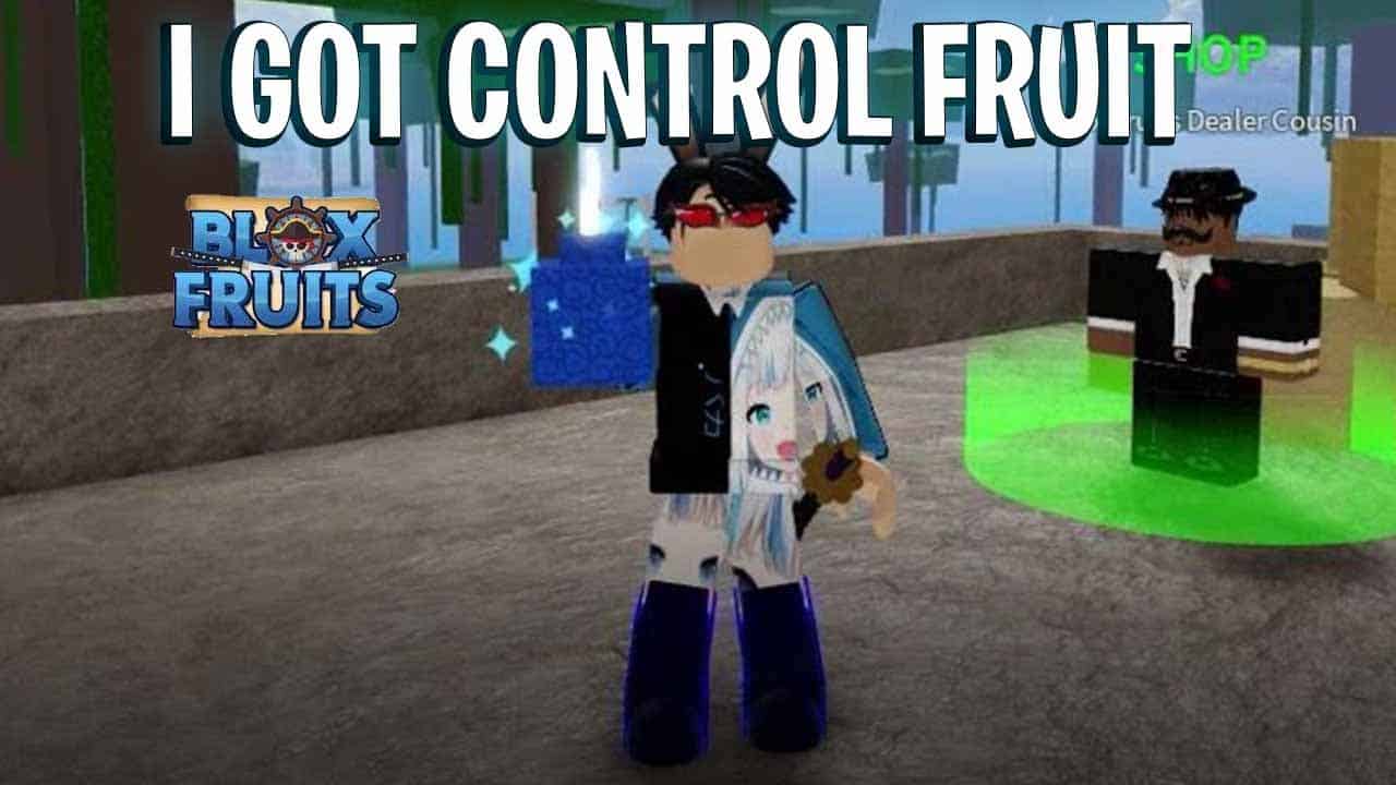 Hình trái ác quỷ Control Blox Fruits