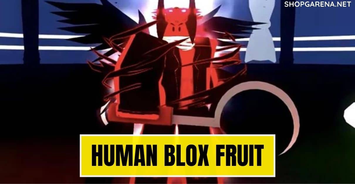 Human Blox Fruit