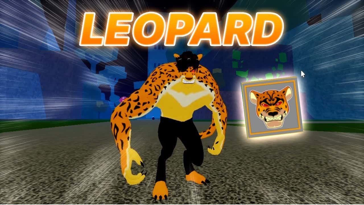 Tài Khoản Có Leopard