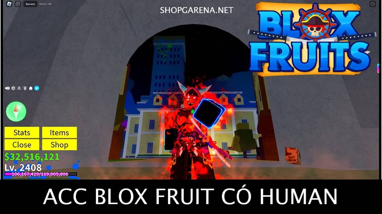 ACC Blox Fruit Có Human
