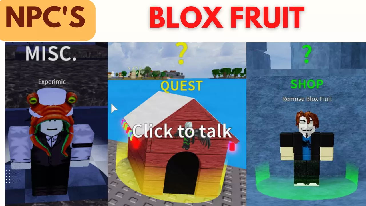 Các bạn cần tìm NPC hỗ trợ trong Blox Fruit