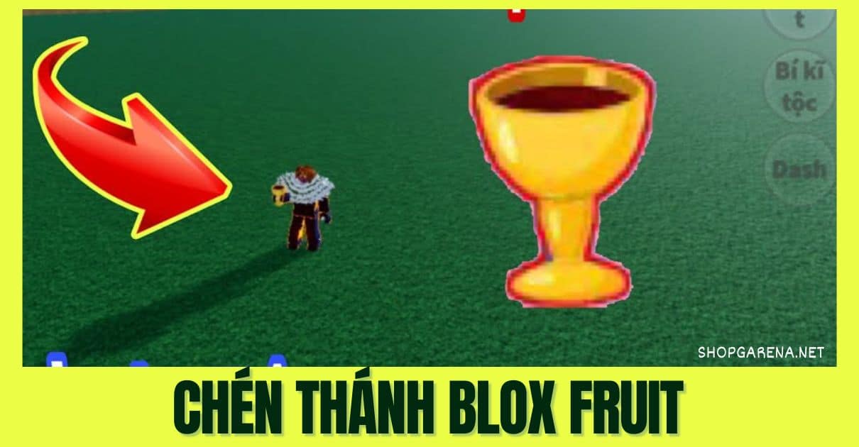 Chén Thánh Blox Fruit