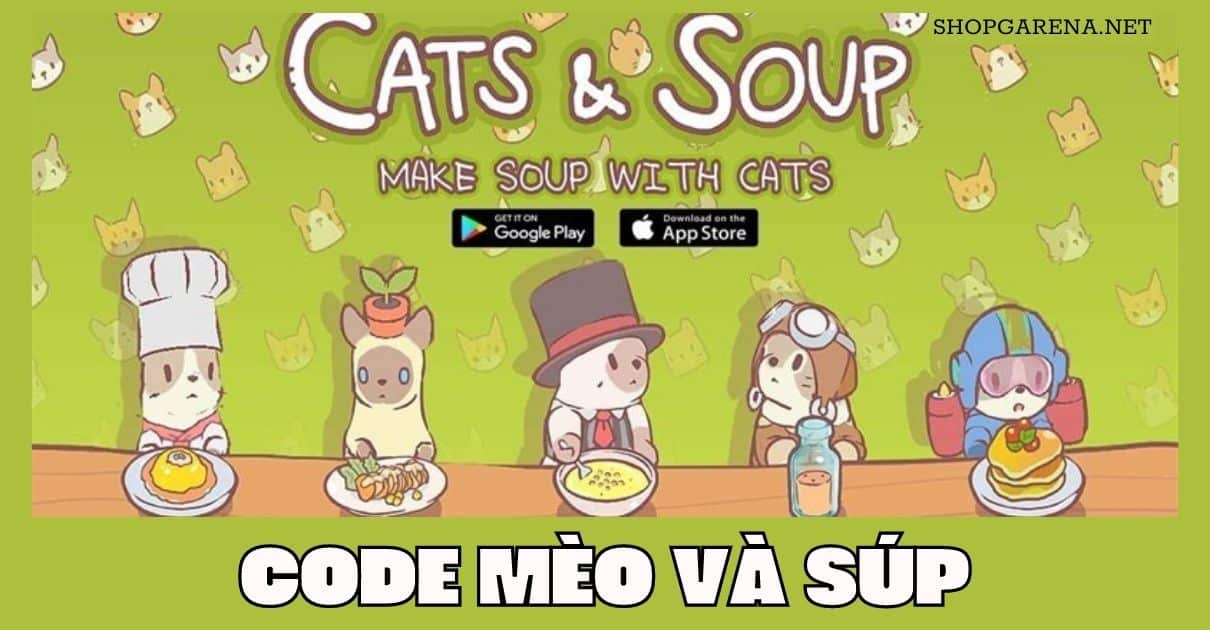 Code Mèo Và Súp