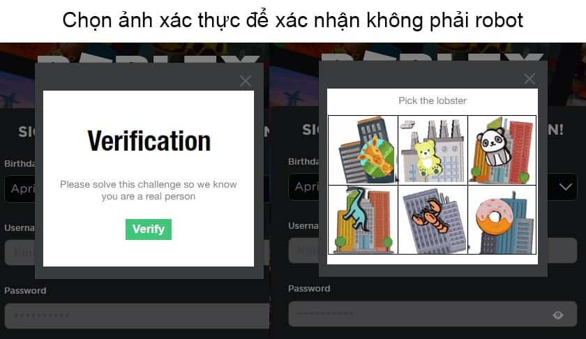 Chọn Verify để xác thực và chọn tiếp các hình ảnh theo yêu cầu