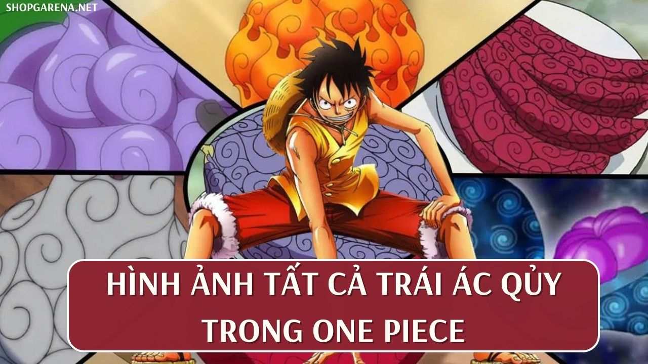 Hình Ảnh Tất Cả Trái Ác Quỷ Trong One Piece