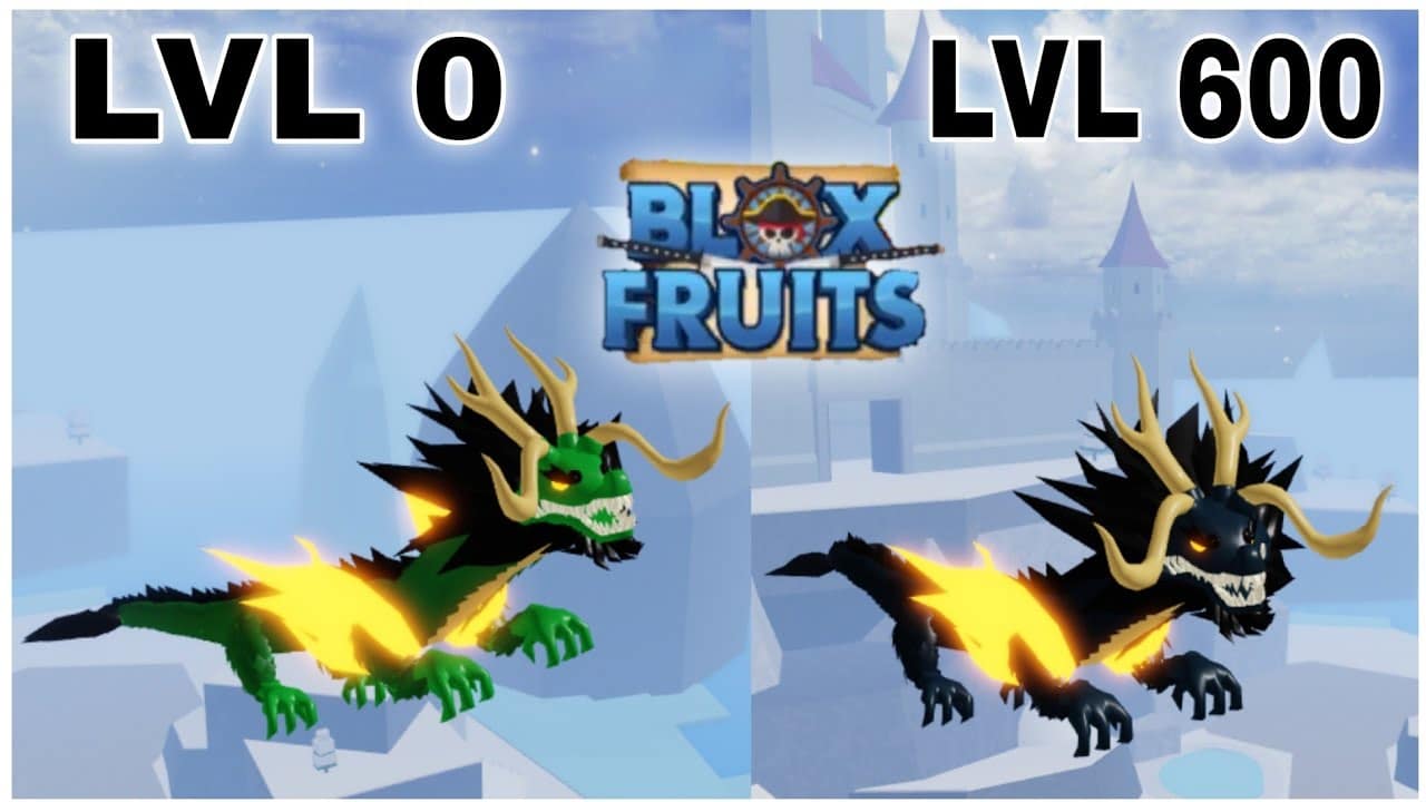 Hình ảnh Dragon Blox Fruit độc đáo