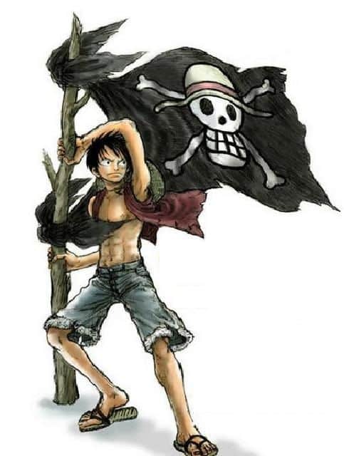 Hình ảnh lá cờ của Luffy độc lạ