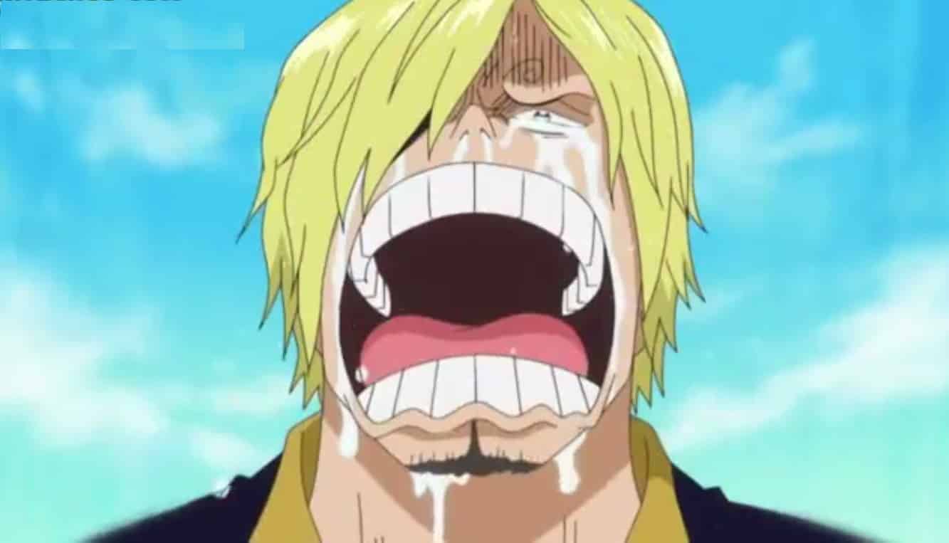 Hình nhân vật Sanji độc đáo