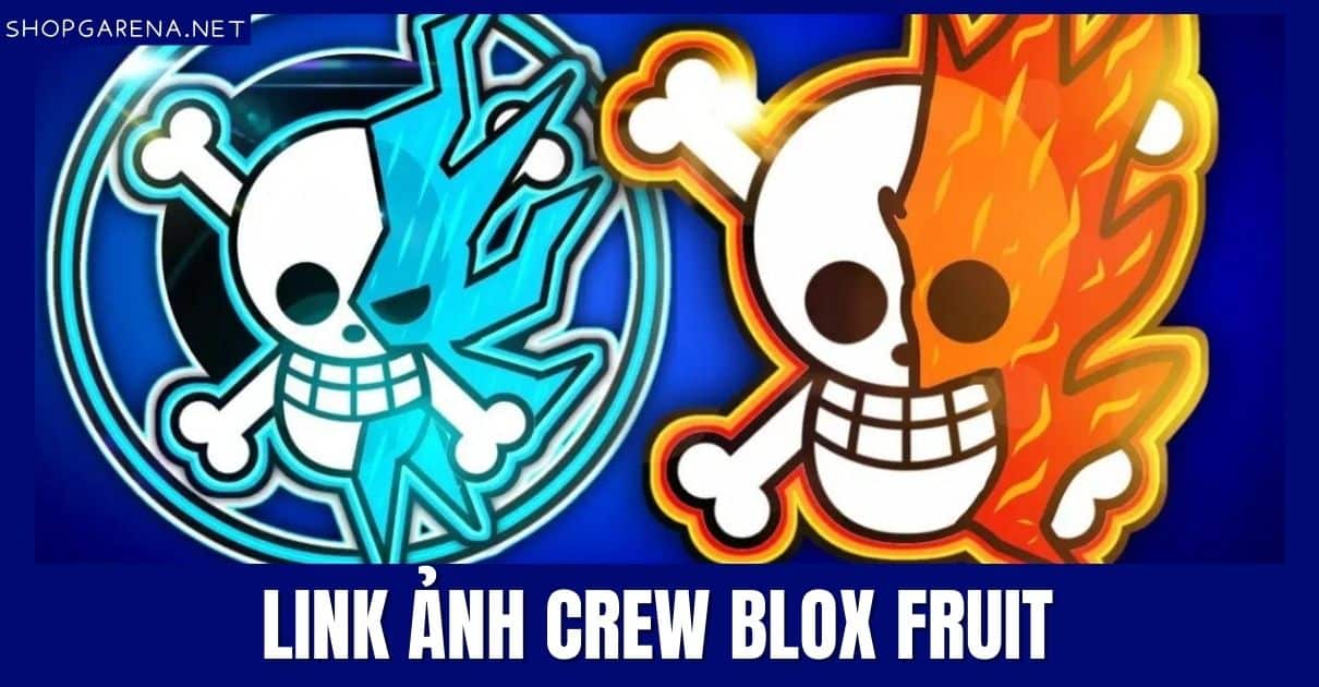 Link Ảnh Crew Blox Fruit