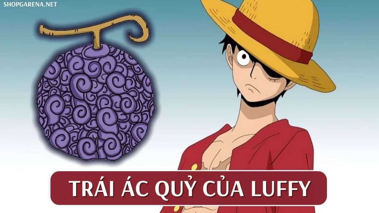 Mô hình One Piece - Mô hình trái ác quỷ size lớn MR01 | Lazada.vn
