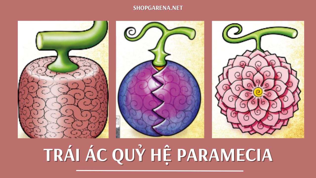 Trái Ác Quỷ Hệ Paramecia