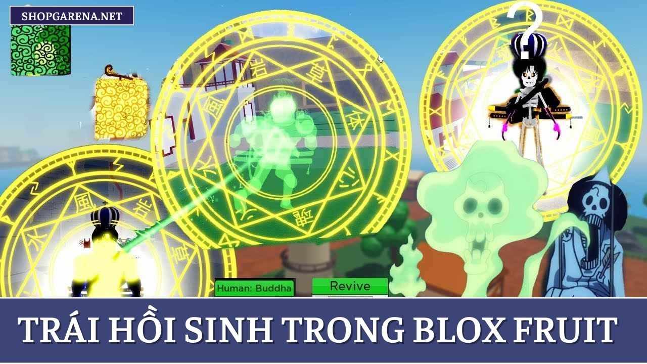 Trái Hồi Sinh Trong Blox Fruit