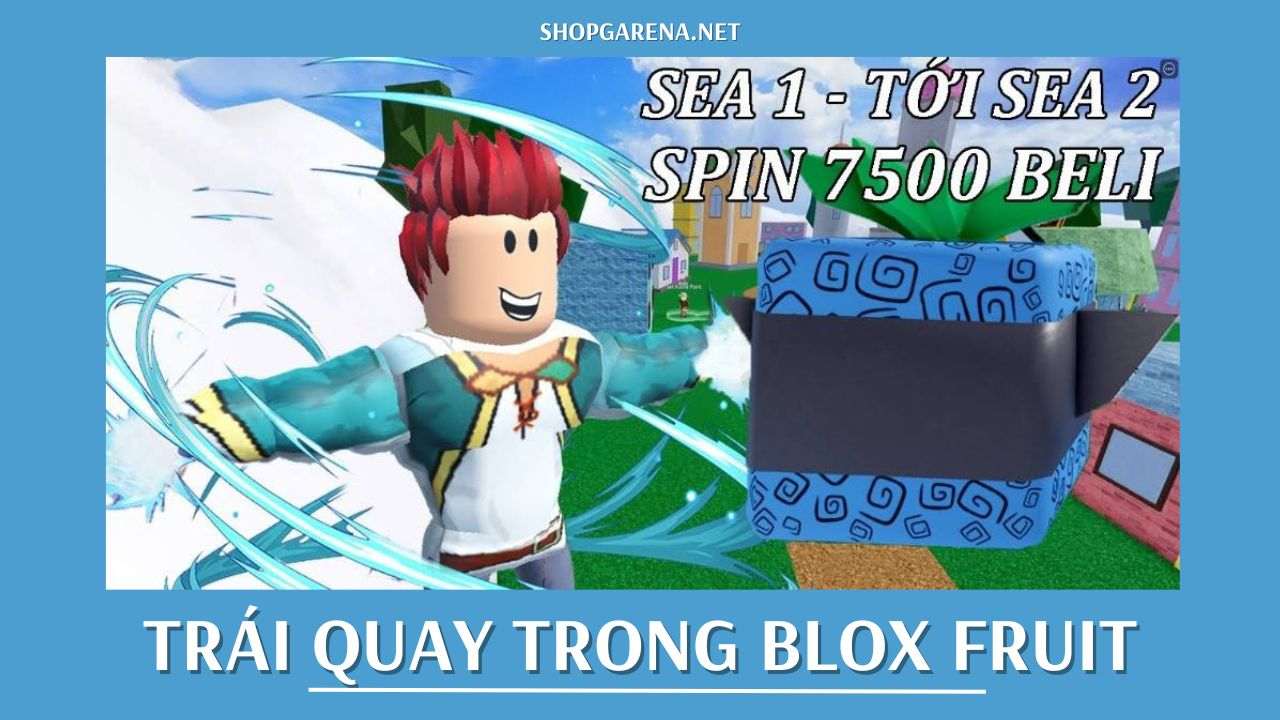 Trái Quay Trong Blox Fruit