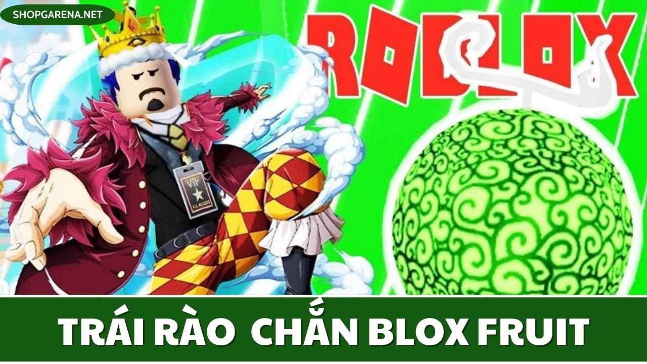 Trái Rào Chắn Trong Blox Fruit