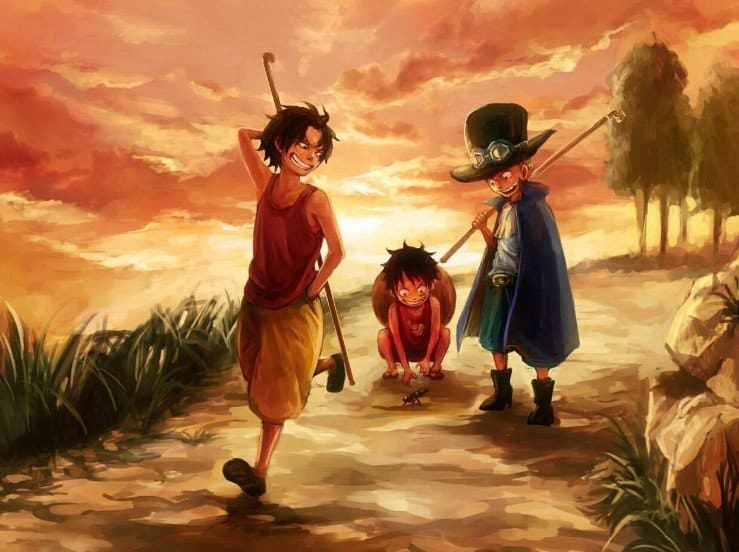 Ảnh 3 Anh Em Luffy Cute Nhất