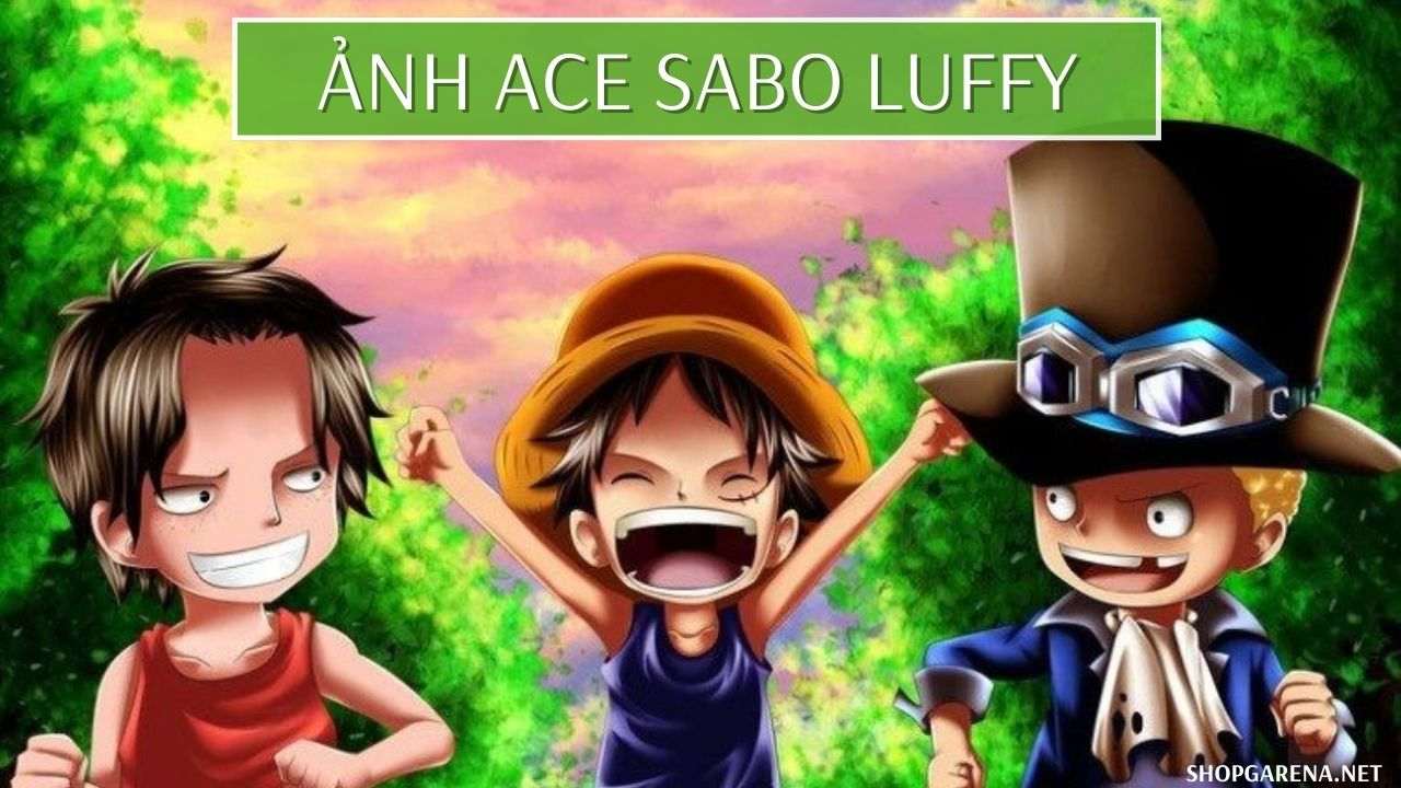 Ảnh Ace Sabo Luffy Ngầu ❤️️ 99+ Ảnh Luffy Ace Sabo Lúc Nhỏ