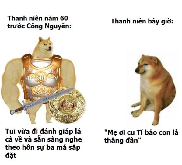 Ảnh Chế Meme Chó