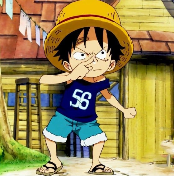 Ảnh Luffy Hồi Nhỏ Cute