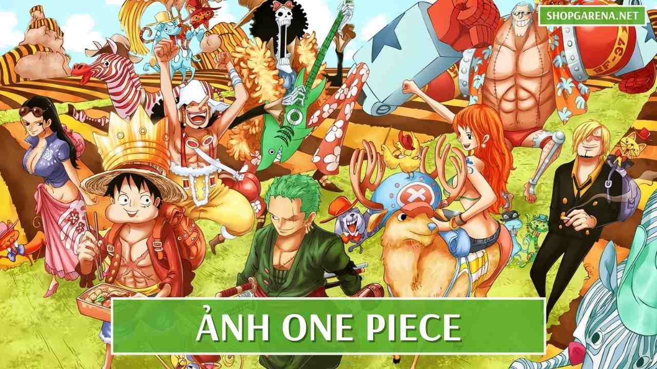Ảnh One Piece