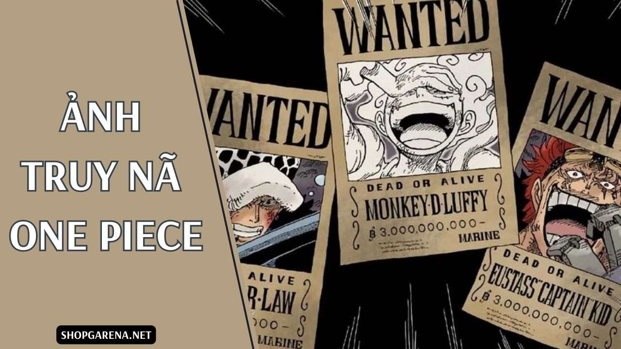 Mua Poster truy nã 10 thành viên Băng Hải Tặc Mũ Rơm (Timeskip) - One Piece  | Tiki