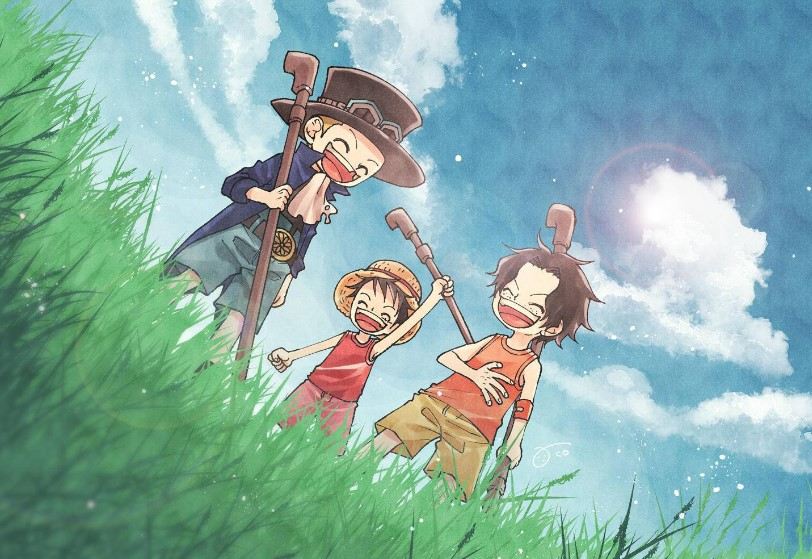 Ảnh Về Luffy Hồi Nhỏ