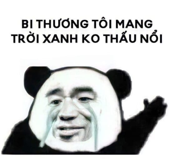 Chế Meme Gấu Trúc Bựa