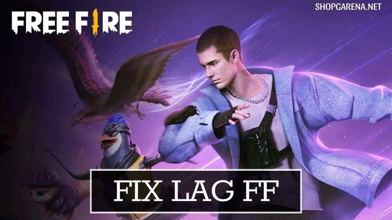 Fix Lag FF