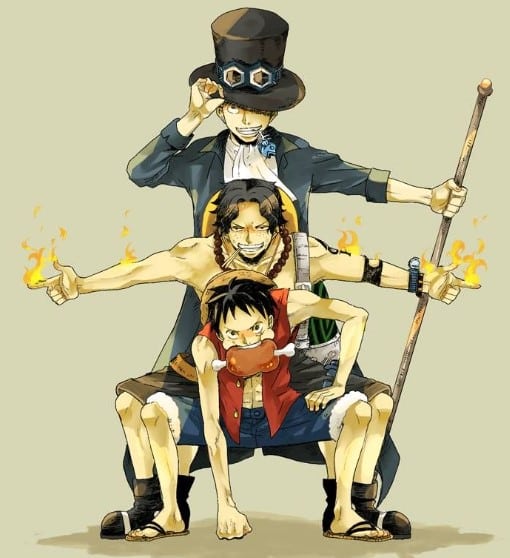 Hình Ảnh 3 Anh Em Luffy Cute