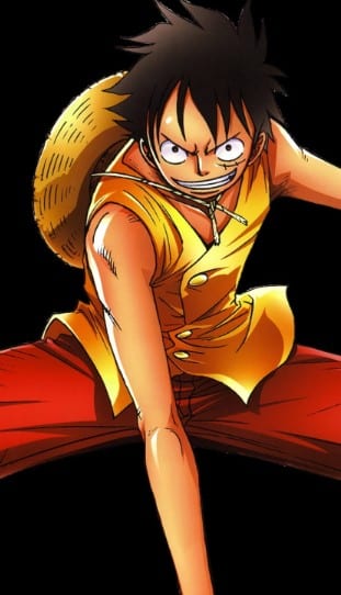 Hình Ảnh Luffy G9