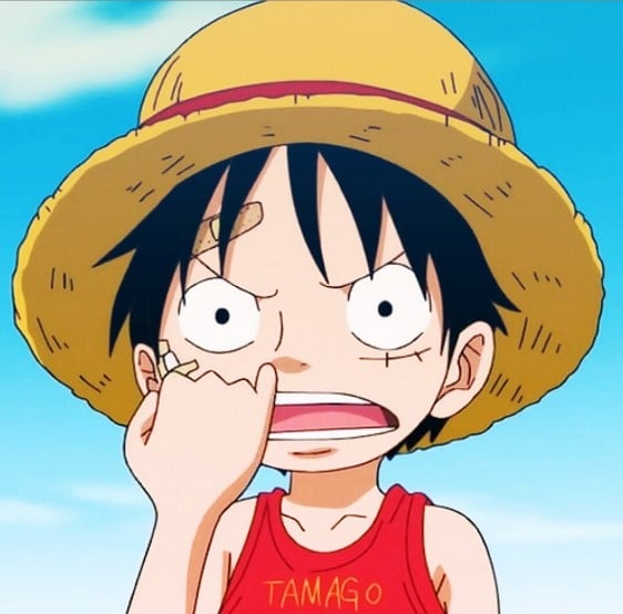 Hình Avatar One Piece Vui