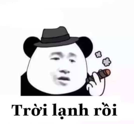 Meme Gấu Trúc