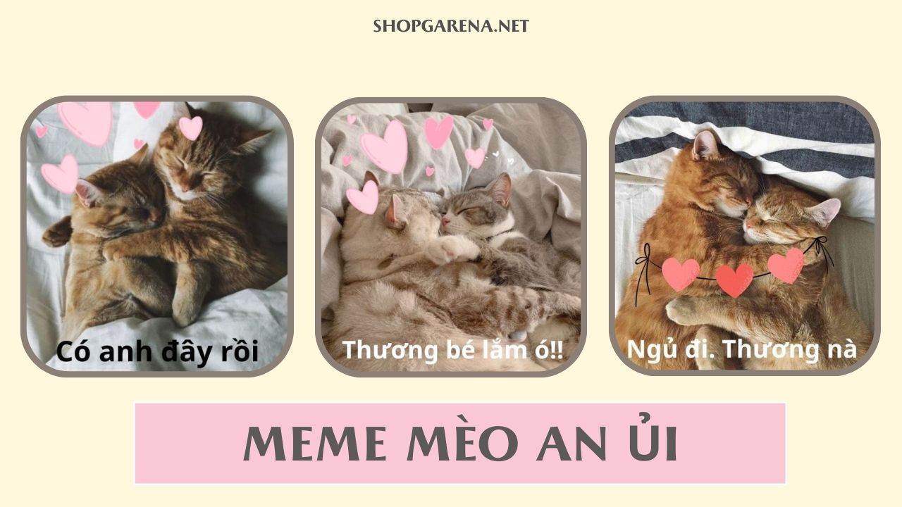Meme Mèo An Ủi