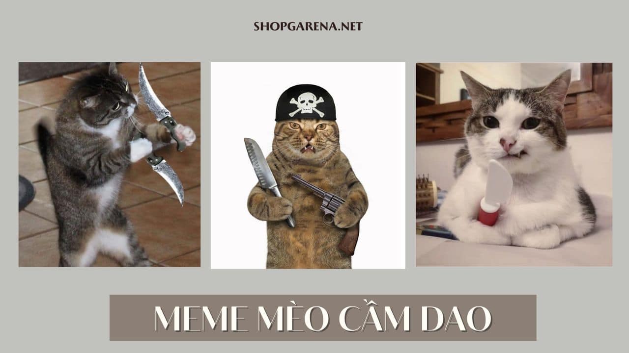 Top 101 ảnh meme mèo cầm dao hài hước cute tải xuống miễn phí