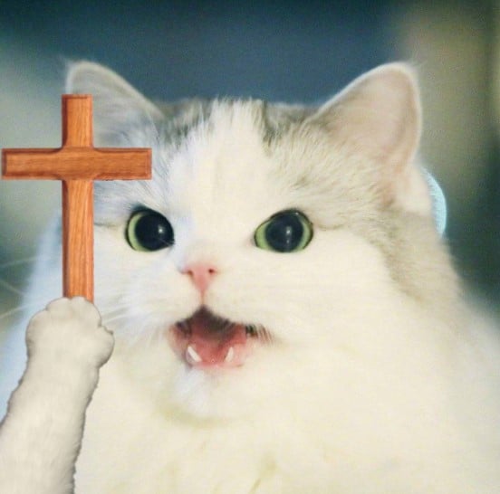 Meme Mèo Cầm Thánh Giá Cute