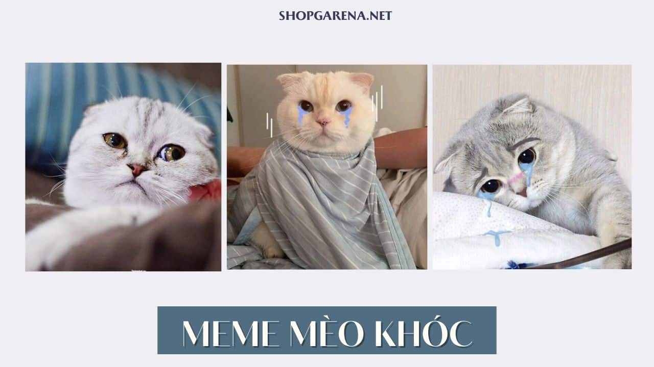 Meme Mèo Khóc