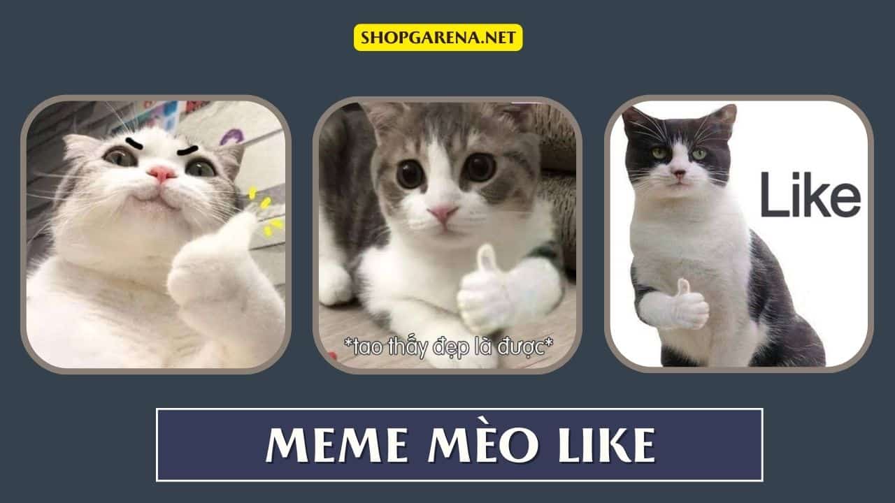 Meme Mèo Like