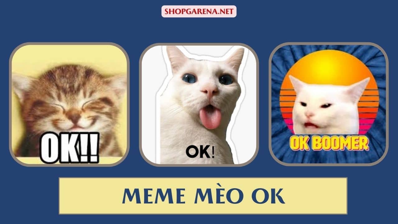 Meme Mèo OK