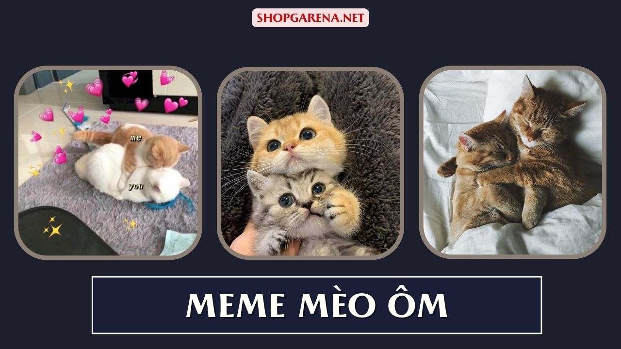 Meme Mèo Ôm