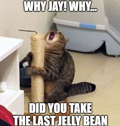 Meme mèo ôm cột