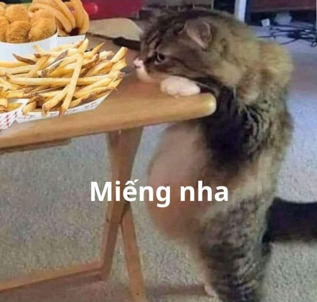 Meme miếng nha