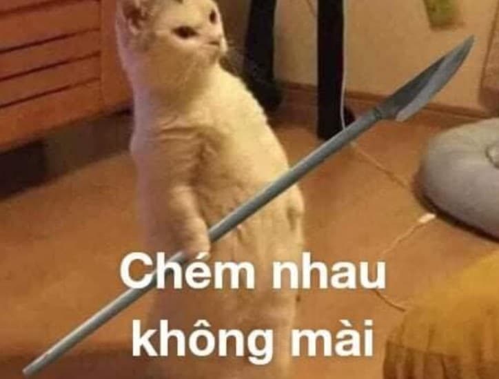 Mèo Đánh Chém Nhau