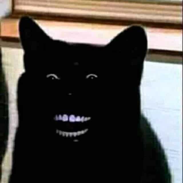 Mèo đen cười nhe răng