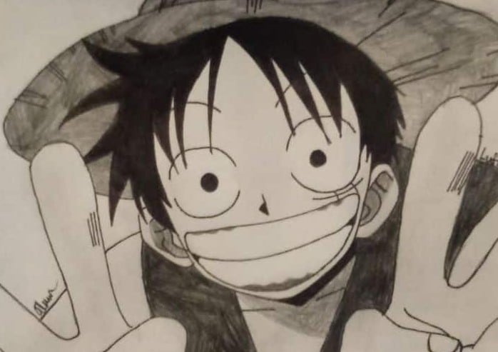 One Piece Không phải Luffy nhân vật làm khó Oda khi vẽ nhất hóa ra là hai  đại mỹ nhân xinh đẹp này