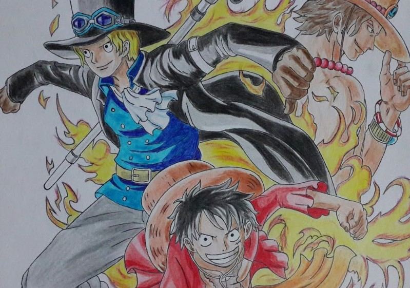 Doujinshi One Piece  Đặc Ân ASL  One piece Hình ảnh Anh em