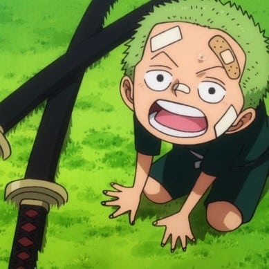 Zoro Lúc Nhỏ Cute